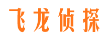 蔡甸小三调查